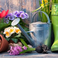 Home and Garden Home and Garden