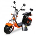 Electric Scooters