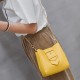 Small Shoulder Bag Crossbody Purse Fashion Chain Bucket bag for Women