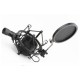 Professional Studio Microphone Wind Screen Pop Filter Mask Shield