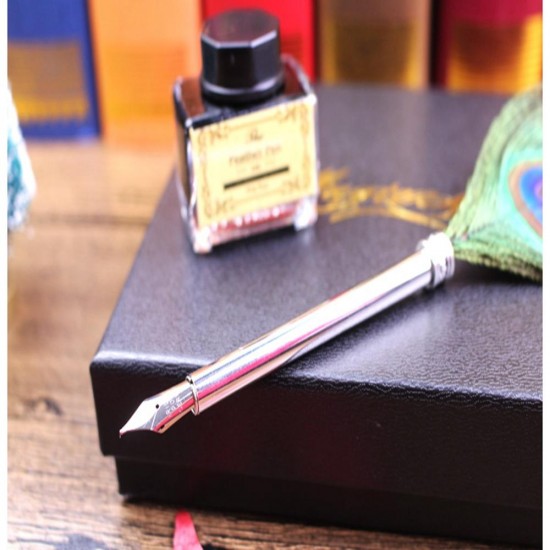 0.5mm Fine Nib Peacock Feather Quill Dip Pen Writing Ink Set Stationery With Box Gift /Ink Bottle