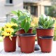 100Pcs Plastic Garden Nursery Pot Flower Terracotta Seedlings Planter Containers Set