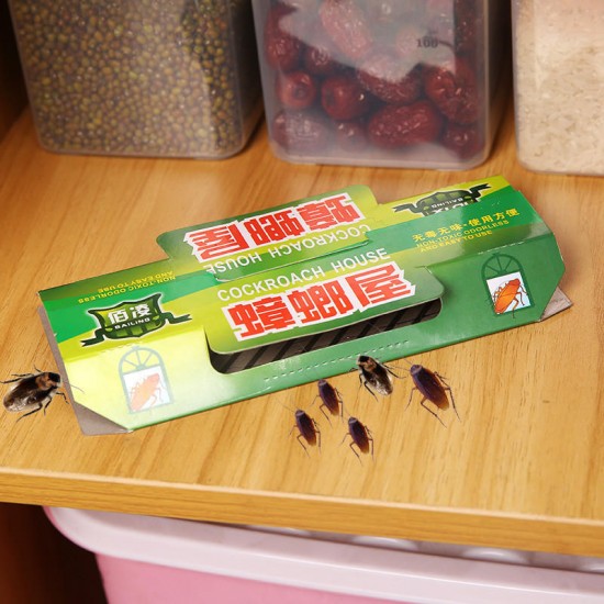 10 Pcs/Lots Non-toxic Kitchen Furniture Cockroach Trap For Large/Small American Germanica Snail Slug Hardware Insects Trapper