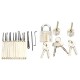 12pcs Unlocking Lock Pick Set with 3pcs Transparent Locks Locksmith Practice Supplies Set