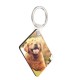 10x Rectangle Blank MDF Board Key Ring Heat Transfer Printing Key Rings For Heat Press Machine 10x Rectangle Blank MDF Board Key Ring Heat Transfer Printing Key Rings For Heat Press Machine