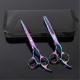 6.7" Professional Barber Hair Cutting Thinning Scissors Shears Hairdressing Set