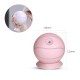 240ml Adjustable Angle USB Rechargable Handheld Water Meter Charging Mini Steamed Humidifier