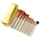 12Pcs Gold Professional Makeup Blush Eye Shadow Eyeliner Brush Set with Zipper Leather Bag Kit