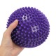 16cm Half Round Yoga Balance Spiky Massager Ball Stepping Stone Foot Sole Trigger Point Hemisphere