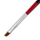 Acrylic UV Gel False Tips Builder Nail Art Drawing Brush Pen