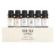6Pcs Pure & Natural Essential Oils Humidifier Aromatherapy Fragrance 10ml Set
