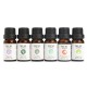 6Pcs Pure & Natural Essential Oils Humidifier Aromatherapy Fragrance 10ml Set