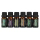 RHJY 6Pcs/Set 10ml Pure Natural Aromatherapy Essential Oils Therapeutic Plant