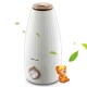 2L Aroma Humidifier Air Diffuser Purifier Quiet Home Atomizer Spa Aromatherapy Large Capacity