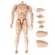 10.63'' 27cm 1/6 Action Figure Body Upgrade Model Toy Gift Collection Ball Joint Posture Adjustable