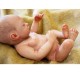 10" Full Silicone Vinyl body Reborn Baby Girl Doll life like Newborn gifts 10" Full Silicone Vinyl body Reborn Baby Girl Doll life like Newborn gifts