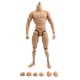 1/6 Scale Action Figure Male Nude Muscular Body 12" Plastic Toy for TTM18/19 1/6 Scale Action Figure Male Nude Muscular Body 12" Plastic Toy for TTM18/19