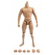 1/6 Scale Action Figure Male Nude Muscular Body 12" Plastic Toy for TTM18/19