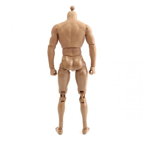 1/6 Scale Action Figure Male Nude Muscular Body 12" Plastic Toy for TTM18/19