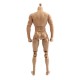 1/6 Scale Action Figure Male Nude Muscular Body 12" Plastic Toy for TTM18/19 1/6 Scale Action Figure Male Nude Muscular Body 12" Plastic Toy for TTM18/19