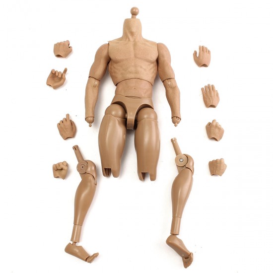 1/6 Scale Action Figure Male Nude Muscular Body 12" Plastic Toy for TTM18/19