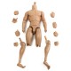 1/6 Scale Action Figure Male Nude Muscular Body 12" Plastic Toy for TTM18/19