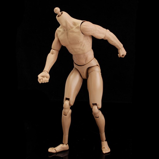 1/6 Scale Action Figure Male Nude Muscular Body 12" Plastic Toy for TTM18/19