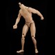 1/6 Scale Action Figure Male Nude Muscular Body 12" Plastic Toy for TTM18/19 1/6 Scale Action Figure Male Nude Muscular Body 12" Plastic Toy for TTM18/19