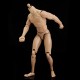 1/6 Scale Action Figure Male Nude Muscular Body 12" Plastic Toy for TTM18/19