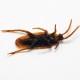 10pcs Prank Funny Trick Joke Toys Lifelike Model Simulation Fake Cockroach Toys Kids Children Props