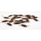 1pc Prank Funny Trick Joke Toys Lifelike Model Simulation Fake Cockroach Kids Children Magic Props