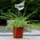 Bird Shaped Glass Plant Flower Holiday Watering Spike Stake Water Feeder Bird Shaped Glass Plant Flower Holiday Watering Spike Stake Water Feeder