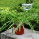 Bird Shaped Glass Plant Flower Holiday Watering Spike Stake Water Feeder Bird Shaped Glass Plant Flower Holiday Watering Spike Stake Water Feeder