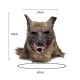 1/2PCS Latex Rubber Wolf Head Hair Mask Werewolf Gloves Party Scary Halloween Cosplay 1/2PCS Latex Rubber Wolf Head Hair Mask Werewolf Gloves Party Scary Halloween Cosplay
