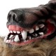 1/2PCS Latex Rubber Wolf Head Hair Mask Werewolf Gloves Party Scary Halloween Cosplay 1/2PCS Latex Rubber Wolf Head Hair Mask Werewolf Gloves Party Scary Halloween Cosplay