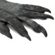 1/2PCS Latex Rubber Wolf Head Hair Mask Werewolf Gloves Party Scary Halloween Cosplay 1/2PCS Latex Rubber Wolf Head Hair Mask Werewolf Gloves Party Scary Halloween Cosplay