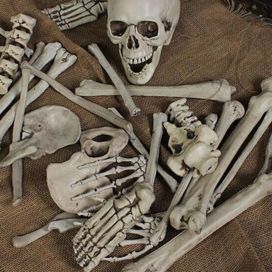 28PCS Adult Skeleton Bone Grave Skull Halloween Haunted House Decoration Props