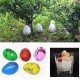 1PC Large Funny Magic Growing Hatching Dinosaur Eggs Christmas Child Toy Gifts