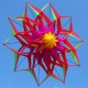 3D Rainbow Colorful Flower Kite Single Line Outdoor Toy Flying For Kids Sport