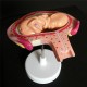 Anatomical Human Fetal Development Model - Baby Fetus/Foetus Pregnancy Anatomy Science Toy