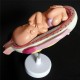 Anatomical Human Fetal Development Model - Baby Fetus/Foetus Pregnancy Anatomy Science Toy