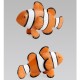 14PCS Shark Sea Creature Toy Animal Figures Diecast Model 14PCS Shark Sea Creature Toy Animal Figures Diecast Model