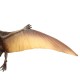 Action Figure Diecast Model Pterosauria Dinosaur Toy Best Gift for Boy Kids Children