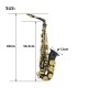 Brass Engraved Eb E-Flat Alto Saxophone Sax With Case Gloves Cleaning Cloth Belt Brush