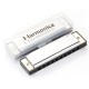 Zebra 10 Holes Blues Harmonica for Children's Educational Harmonica Instrument