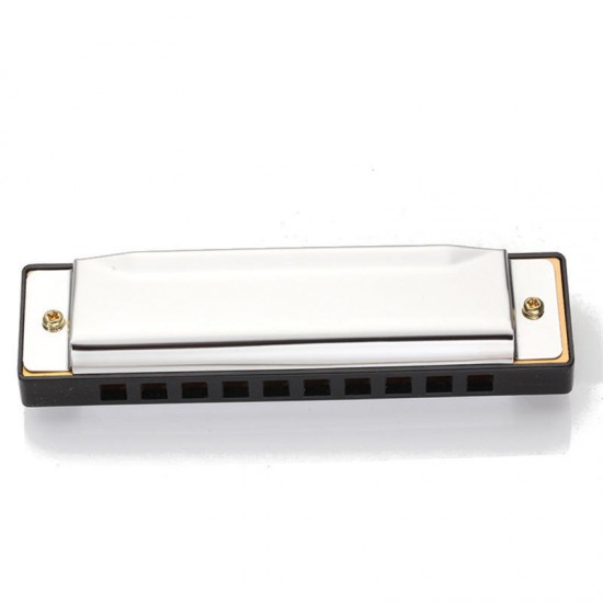 Zebra 10 Holes Blues Harmonica for Children's Educational Harmonica Instrument