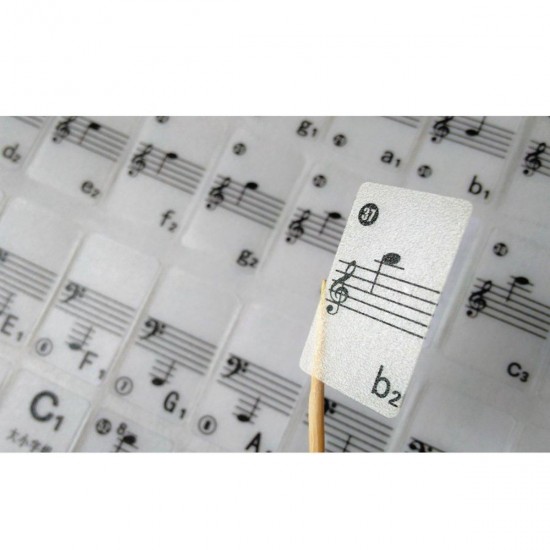 Piano Keyboard Musical Note Sticker for 61 Keys Electronic Keyboard Piano
