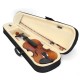 4/4 Full Size Basswood Matte Finish Violin with Case for Beginner