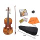 Aston 4/4  Spruce wood Carving Violin with Bow String Rosin Mute Case AV-30