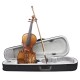 Aston 4/4  Spruce wood Carving Violin with Bow String Rosin Mute Case AV-30